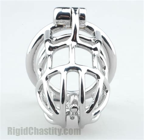 prince albert chastity cage|Modular Chastity Device